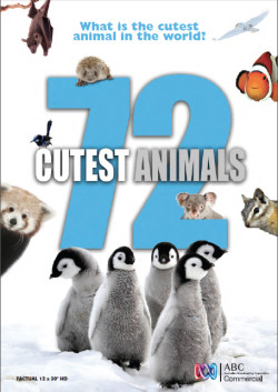 72 loài động vật dễ thương nhất - 72 Cutest Animals (2016)